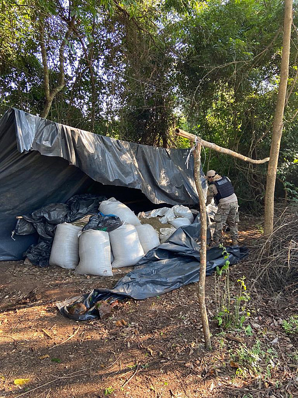 Sete Toneladas De Maconha S O Destru Das Pela Senad Na Fronteira