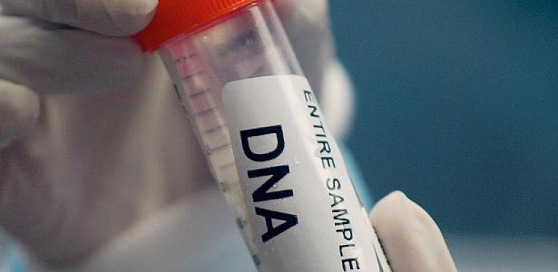 Campanha Incentiva Coleta De DNA Para Ajudar A Localizar Pessoas