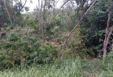 Veículo capotou e parou em uma área de brejo; Foto: Jornal da Nova