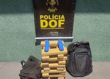 Foto: Ilustrativa/DOF