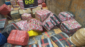 DOF apreende quase 20 toneladas de maconha