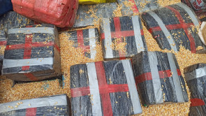 DOF apreende quase 20 toneladas de maconha