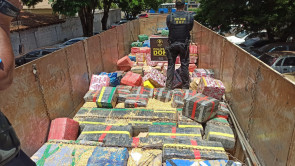 DOF apreende quase 20 toneladas de maconha