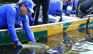 Importante frisar que, para realizar a pesca, mesmo a esportiva, todos devem portar a Autorização Ambiental para Pesca Amadora; Foto: Arquivo/Edemir Rodrigues