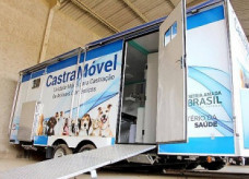 Dourados vai ganhar o primeiro castramóvel; Foto: Reprodução
