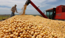 Levantamento da Semagro aponta que a maioria da safra de soja será escoada pelas rodovias; Foto: Edemir Rodrigues/Portal MS