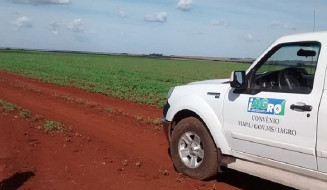 vazio sanitário é crucial para evitar a expansão de focos de ferrugem asiática nas lavouras; Foto: Arquivo