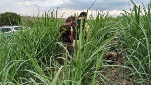 Taxista é morto com oito golpes de faca e tem corpo jogado em colônia