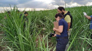 Taxista é morto com oito golpes de faca e tem corpo jogado em colônia