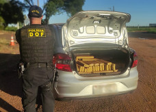 Droga seria levada para o interior de Sp, segundo o adolescente; Foto: Divulgação/DOF