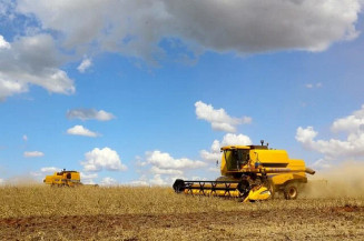 Espera-se que a produção de soja totalize 131,8 milhões de toneladas, com redução de 4,7%; Foto: Jaelson Lucas/Arquivo AEN