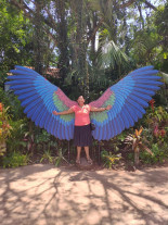 Família que morreu entre Juti e Naviraí volta de férias de Foz do Iguaçu