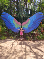 Família que morreu entre Juti e Naviraí volta de férias de Foz do Iguaçu