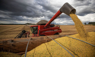 Arroz, milho e soja representam 93% da estimativa da produção