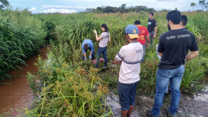 Homem é espancado até a morte e jogado no meio do brejo na Aldeia Jaguapiru em Dourados