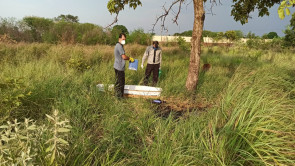 Homem é encontrado morto no meio do mato em Dourados; polícia investiga o caso