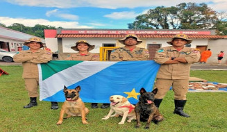 Bombeiros e os cães irão até Petrópolis em duas aeronaves; Foto: Divulgação/Corpo de Bombeiros