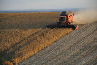 Tempo mais seco da semana passada em diversos pontos do Brasil deu impulso à colheita da safra 2021/22 de soja