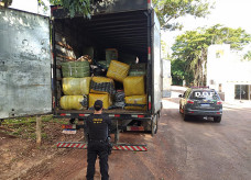 Foto: Divulgação/DOF