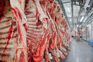 Vendas externas de carne bovina cresceram mais de 55%, enquanto as receitas tiveram alta superior a 91%