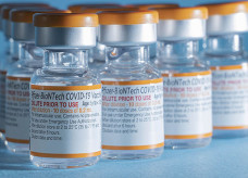 Imunizantes serão distribuídos nos próximos dias; Foto: Ministério da Saúde