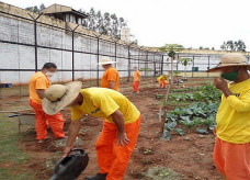 Até janeiro deste ano o custo mensal com a massa carcerária em Mato Grosso do Sul era de R$ 41,6 milhões; Foto: Arquivo