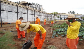 Até janeiro deste ano o custo mensal com a massa carcerária em Mato Grosso do Sul era de R$ 41,6 milhões; Foto: Arquivo
