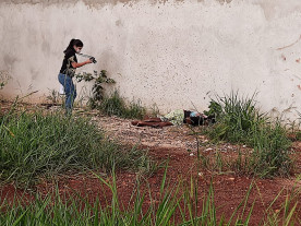 Corpo com perfurações é encontrado no Parque das Nações