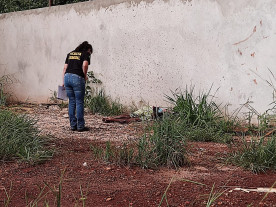 Corpo com perfurações é encontrado no Parque das Nações