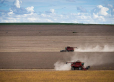 Colheita da safra 2021/22 de soja chegou a 55% da área cultivada no Brasil; Foto: Wenderson Araujo/Trilux/CNA