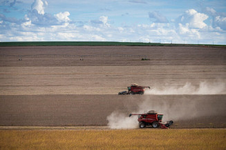 Colheita da safra 2021/22 de soja chegou a 55% da área cultivada no Brasil; Foto: Wenderson Araujo/Trilux/CNA