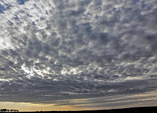 Foto: Chico Ribeiro/Portal MS