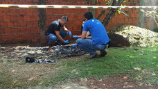 Foto: Sidnei Bronka/Ligado Na Notícia