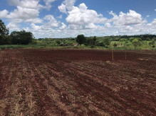 Campo de futebol improvisado em lavoura de soja; sitiantes acusam índios (Foto: Direto das Ruas)