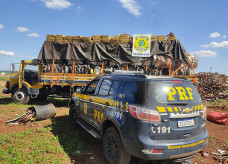 Segundo o motorista do caminhão, a droga seria descarregada em Dourados; Foto: Divulgação/PRF
