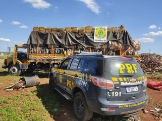 Segundo o motorista do caminhão,  a droga seria descarregada em Dourados; Foto: Divulgação/PRF