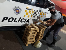 Ônibus fazia o itinerário Dourados - São Paulo; Foto: Divulgação/PMR