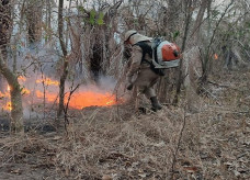 Portaria faz parte do plano de combate a incêndios florestais no Estado; Foto: Arquivo/Chico Ribeiro