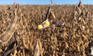 Primeiro programa a ser contemplado será o AgroNordeste