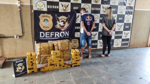 Defron apreende 250 quilos de maconha em Dourados; 2 são presos