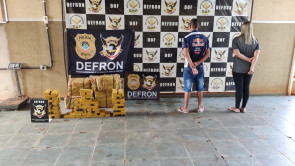 Defron apreende 250 quilos de maconha em Dourados; 2 são presos