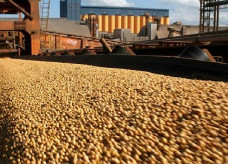 Com relação aos principais produtos exportados, a soja em grão aparece como primeiro na pauta, representando 37,91% do valor total