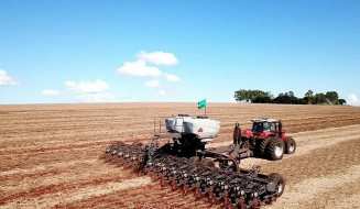 Estimativa da área plantada com soja continua sendo de 3,776 milhões de hectares, com aumento de 7%; Foto: Arquivo