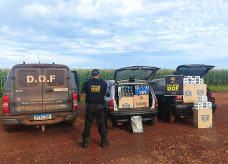 Produto foi encaminhado à Receita Federal de Ponta Porã; Foto: Divulgação/DOF