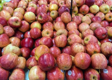 Em relação às frutas, houve aumento de preços para melancia, maçã e mamão, segundo o Boletim Prohort da Conab