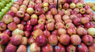 Em relação às frutas, houve aumento de preços para melancia, maçã e mamão, segundo o Boletim Prohort da Conab