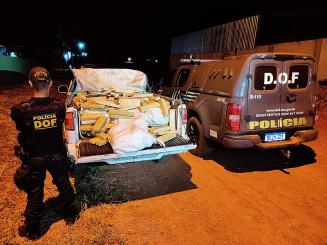 Foram encontrados 25 fardos de maconha, que após pesados totalizaram 584 quilos; Foto: Divulgação/DOF