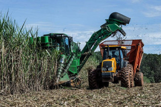 Conab ressalta que a estiagem afetou as lavouras no ciclo produtivo, enquanto o clima frio afetou a produtividade dos canaviais