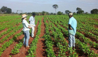 Ao todo, serão comprados 5 mil sacas de 20 kg de milho, 1.860 sacas de 20 kg de feijão e 450 kg de sementes de hortaliças