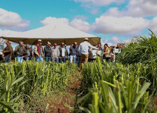 Oficinas do Projeto Fazendinha tem como objetivo levar capacitação e aprimoramento de produção